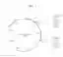 Fig. 02 - Yeast cell with activated lactate dehydrogenase and method of producing lactate using the yeast cell