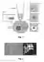 Fig. 02 - PHOTOTHERMAL SUBSTRATES FOR SELECTIVE TRANSFECTION OF CELLS