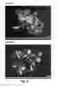 Fig. 04 - PHOTOTHERMAL SUBSTRATES FOR SELECTIVE TRANSFECTION OF CELLS