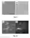 Fig. 09 - PHOTOTHERMAL SUBSTRATES FOR SELECTIVE TRANSFECTION OF CELLS