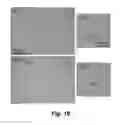 Fig. 19 - PHOTOTHERMAL SUBSTRATES FOR SELECTIVE TRANSFECTION OF CELLS