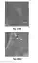 Fig. 27 - PHOTOTHERMAL SUBSTRATES FOR SELECTIVE TRANSFECTION OF CELLS