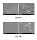 Fig. 30 - PHOTOTHERMAL SUBSTRATES FOR SELECTIVE TRANSFECTION OF CELLS