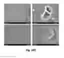 Fig. 31 - PHOTOTHERMAL SUBSTRATES FOR SELECTIVE TRANSFECTION OF CELLS