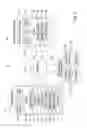 Fig. 03 - Method and apparatus for verifying the authenticity of mobile device information