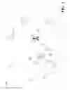Fig. 02 - Communication system with radio interworking capability and related user equipment