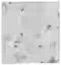 Fig. 01 - Zeolite nanosheet membrane