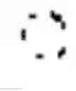 Fig. 06 - NUCLEIC ACID DETECTION METHOD