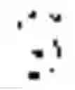 Fig. 09 - NUCLEIC ACID DETECTION METHOD