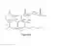 Fig. 09 - Compositions containing delta-9-THC-amino acid esters and process of preparation