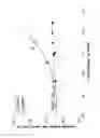 Fig. 02 - ENERGY-RICH LIQUID NUTRITIONAL COMPOSITION HAVING IMPROVED ORGANOLEPTIC PROPERTIES