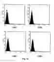 Fig. 02 - ANTIBODIES FOR IDENTIFYING AND/OR ISOLATING AT LEAST ONE CELL POPULATION