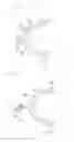 Fig. 02 - TEETH GRINDING PREVENTING DEVICE