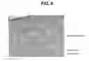 Fig. 08 - Activation of bone and cartilage formation