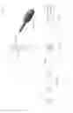 Fig. 30 - INTERBODY IMPLANTS AND GRAFT DELIVERY SYSTEMS