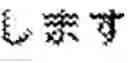 Fig. 09 - TRANSLATION SYSTEM INFORMATION EXTRACTION
