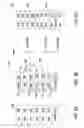 Fig. 06 - Technique for grouping instructions into independent strands