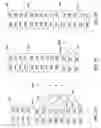 Fig. 09 - Technique for grouping instructions into independent strands