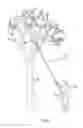 Fig. 02 - Pneumatically powered pole saw