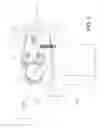 Fig. 02 - Microtome having means for reversing a direction of rotation