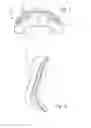 Fig. 05 - Cushion for patient interface
