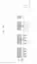 Fig. 167 - Semiconductor devices including bit line contact plug and peripheral transistor