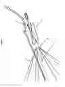 Fig. 08 - Towable transient electromagnetic survey device