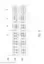 Fig. 08 - Semiconductor device and image processing method