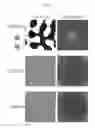 Fig. 17 - Quantization method, image processing apparatus, and recording medium