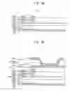 Fig. 09 - Display panel and method of manufacturing the same