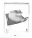 Fig. 08 - Imaging Apparatus