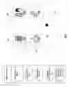 Fig. 02 - Content-based video segmentation