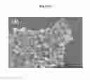 Fig. 07 - Method of preparing calcium carbonate using direct carbonation reaction
