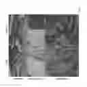 Fig. 07 - Enhancement of osteogenic potential of bone grafts