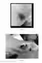 Fig. 03 - METHOD FOR MAKING A TOPICAL COMPOSITION COMPRISING GROWTH FACTORS DERIVED FROM HUMAN UMBILICAL CORD BLOOD PLATELETS