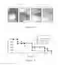 Fig. 03 - Methods and compositions for RNAi-based cancer treatment