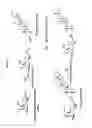 Fig. 06 - Timosaponin compounds