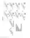 Fig. 16 - Timosaponin compounds