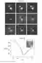 Fig. 08 - GRAPHENE SYNTHESIS BY SUPPRESSING EVAPORATIVE SUBSTRATE LOSS DURING LOW PRESSURE CHEMICAL VAPOR DEPOSITION