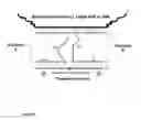 Fig. 02 - Nucleic acid enzyme substrates