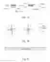 Fig. 02 - TARGETED ENRICHMENT AND AMPLIFICATION OF NUCLEIC ACIDS ON A SUPPORT