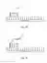 Fig. 07 - TARGETED ENRICHMENT AND AMPLIFICATION OF NUCLEIC ACIDS ON A SUPPORT