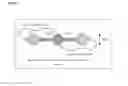 Fig. 02 - Fibrinogen assay