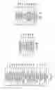 Fig. 10 - 2.5-DIMENSIONAL GRAPHICAL OBJECT SOCIAL NETWORK
