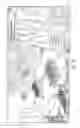 Fig. 11 - 2.5-DIMENSIONAL GRAPHICAL OBJECT SOCIAL NETWORK