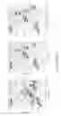 Fig. 07 - Quantification of adaptive immune cell genomes in a complex mixture of cells