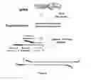 Fig. 12 - Next-generation sequencing libraries