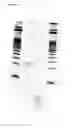 Fig. 04 - Assembly of Nucleic Acid Sequences in Emulsions