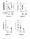 Fig. 04 - Peptide and uses therefor