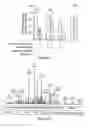 Fig. 14 - Peptide and uses therefor
